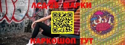 гидропоника Кинель