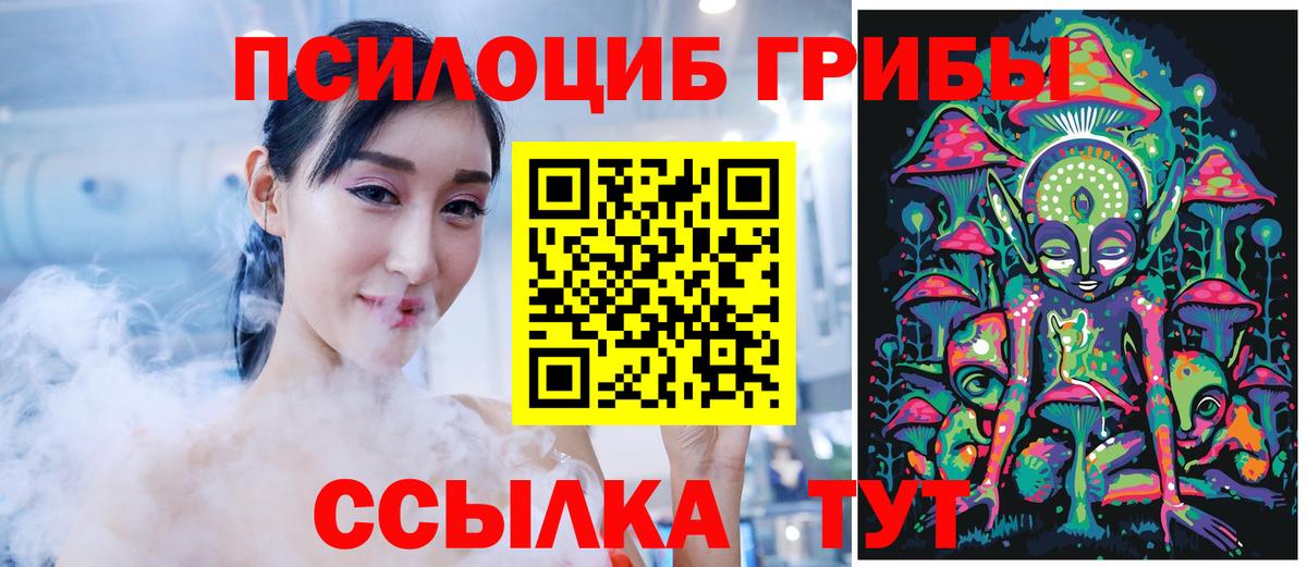 Куйбышев  Псилоцибиновые грибы Psilocybe  Вход с VPN 