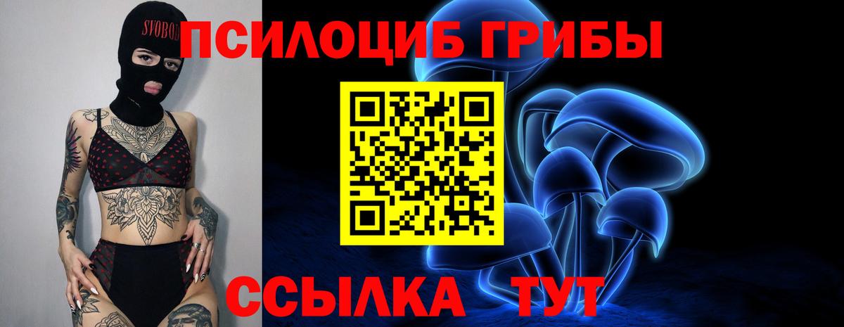 Псилоцибиновые грибы Psilocybe Куйбышев